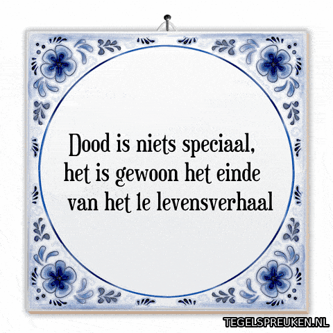 Humor Nl GIF by Tegelspreuken.nl