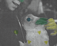 Sound And Vision Bunny GIF by Beeld en Geluid