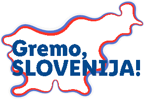 Gremo Navijanje Sticker by Lidl Slovenija