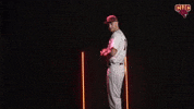 Bsb GIF by CUCougars