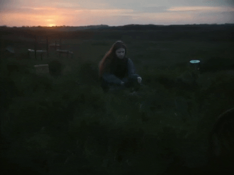 Gold GIF by EDEN