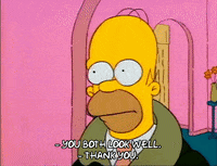 Season 1 GIF by The Simpsons