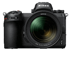 Nikon Abhraneelphotographynikon Sticker by NikonIndia
