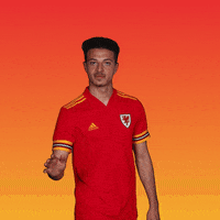 Uefa Euro 2020 Football GIF by UEFA