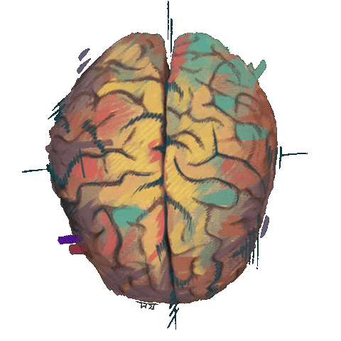 Knowledge Sticker
