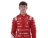 Formula 3 Thumbs Up Sticker by Prema Team