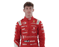 Formula 3 Thumbs Up Sticker by Prema Team