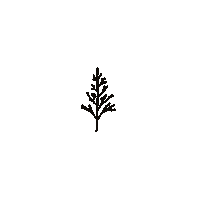 Christmas Sticker by Life at NEXT