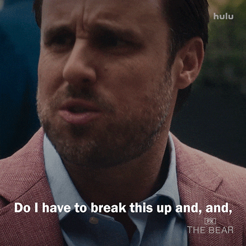 Argue Season 4 GIF by The Bear