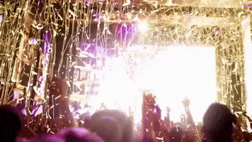 Music Festival Party GIF