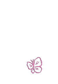 Pink Colors Sticker