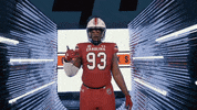College Football GIF by gamecocksonline