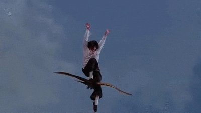 kung fu GIF
