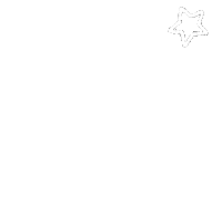 Star 流星 Sticker