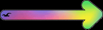 Proud Of You Rainbow GIF by Hollister Co.
