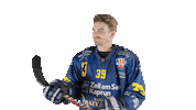 ekzellereisbaeren eishockey 39 alpshockeyleague zell am see Sticker