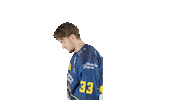 ekzellereisbaeren eishockey 33 alpshockeyleague zell am see Sticker