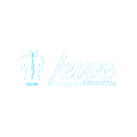 Coluna Sticker by Levve Ortopedia