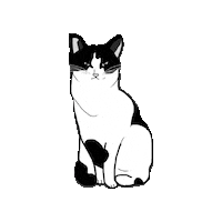 Cat Sticker