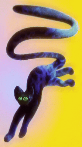 Black Cat GIF by franzimpler