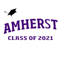Class Of 2021 Sticker by Amherst College