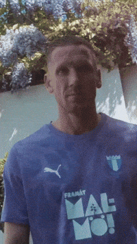 Robin Olsen GIF by HerrDiesel