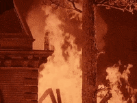 classic film GIF by Warner Archive