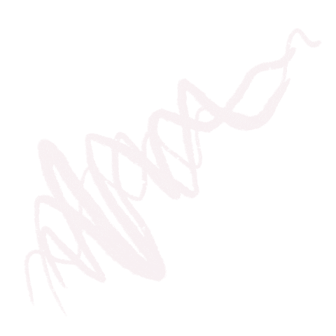 doodle csmfam Sticker by Crossway Student Ministries