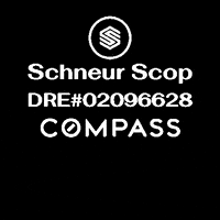 GIF by Schneur Scop