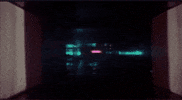 Cat Text GIF