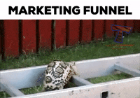 tmobthinksmobility  GIF
