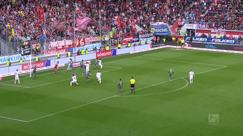 football GIF by 1. FC Köln