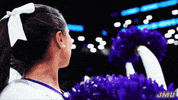 Happy Basketball GIF by James Madison University