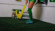 Ncaa Soccer GIF by GoDucks