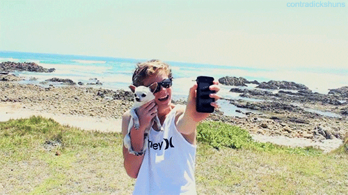 youtube puppy GIF
