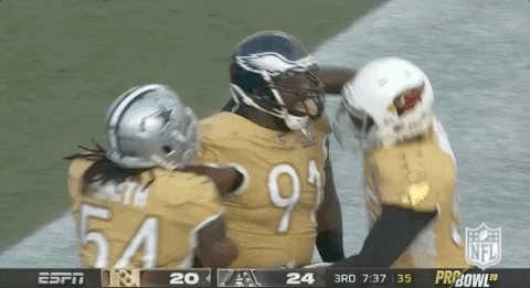National Football League GIF by NFL