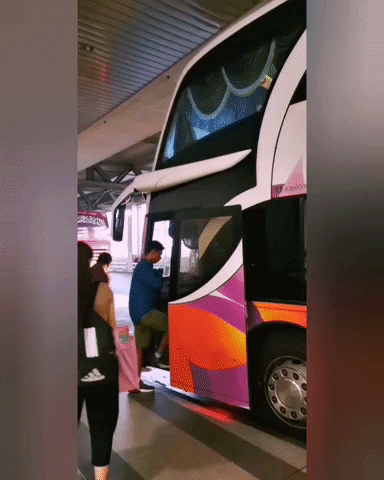 Causeway_Link giphyupload bus loyalty reward GIF