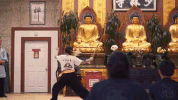 music video stop GIF by Polyvinyl Records