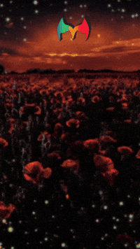 Amigos Aprende GIF by Murcianys LLC