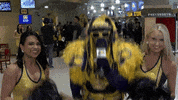 lets go yes GIF by NBA