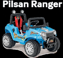 Ranger Oyuncak GIF by Pilsan Toys
