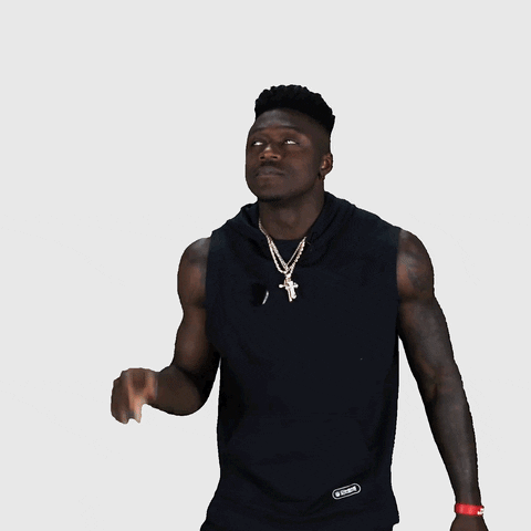 Philadelphia Eagles No GIF by NFL