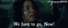 we have to go wgn america GIF by Underground