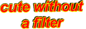 cute without a filter Sticker by AnimatedText