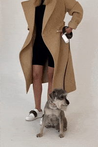 Schnauzer Hands Free GIF by Urbana Pet