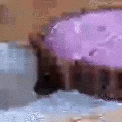 анимация