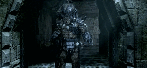 alien vs predator GIF