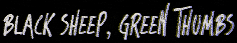 Black Sheep Plant GIF by MullinixCollective