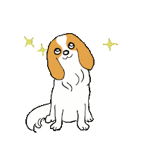 Dog Cavaliers Sticker