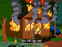 homer simpson GIF
